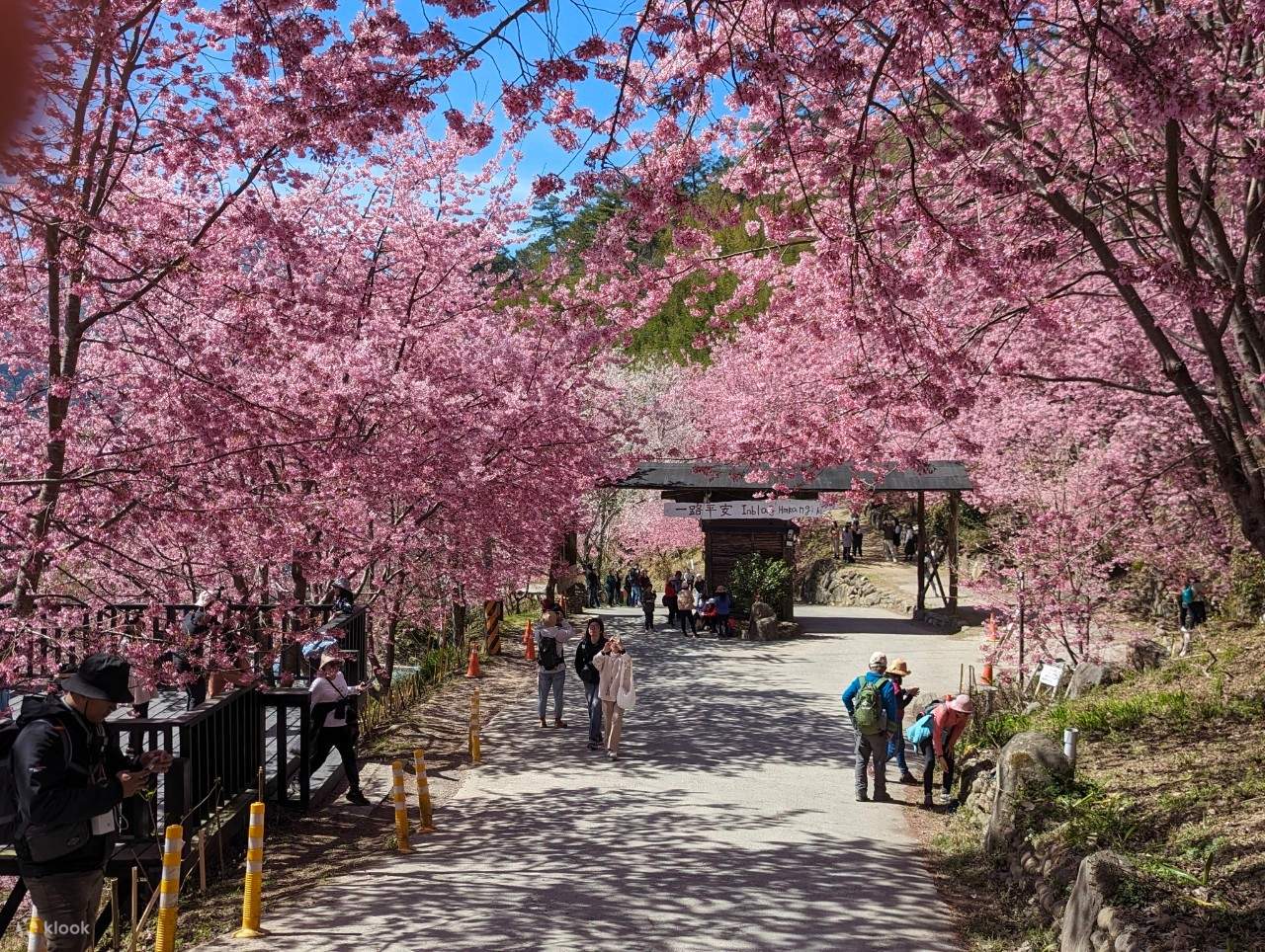 Звездный кемпинг в Симакусе